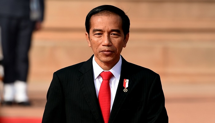 Presiden Jokowi Dorong Pemda Manfaatkan Potensi Daerah