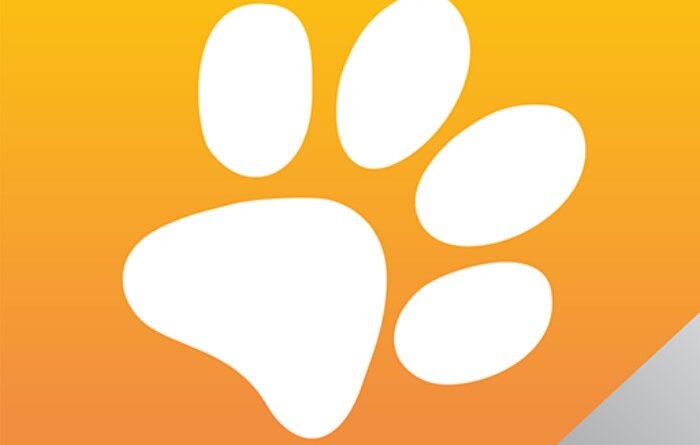 Platform Wajib Bagi Anda Penyuka Kucing Dengan Anjing