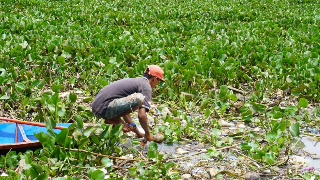 Dampak Deterjen Terhadap Keanekaragaman Hayati