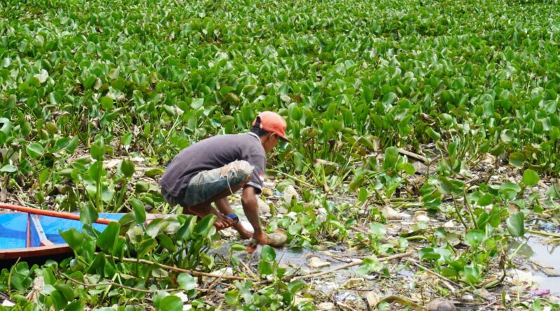 Dampak Deterjen Terhadap Keanekaragaman Hayati