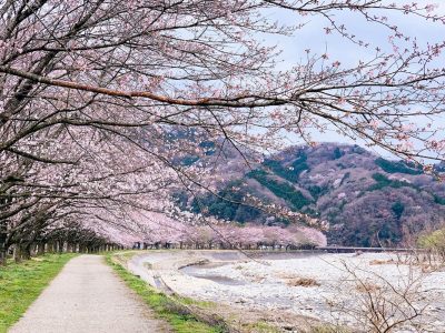 Jepang Pasca Gempa 7,5: Apakah Aman Untuk Wisata?