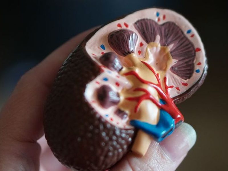 Ternyata Salah! 4 Kebiasaan Yang Justru Merusak Ginjal