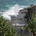 Pantai Klayar Pesona Ikonik Pacitan Dengan Seruling Samudra