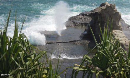 Pantai Klayar Pesona Ikonik Pacitan Dengan Seruling Samudra