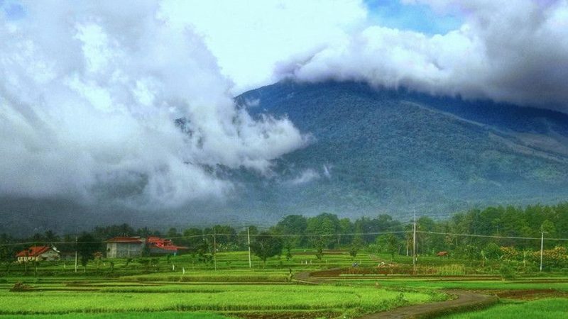 Petualangan Seru