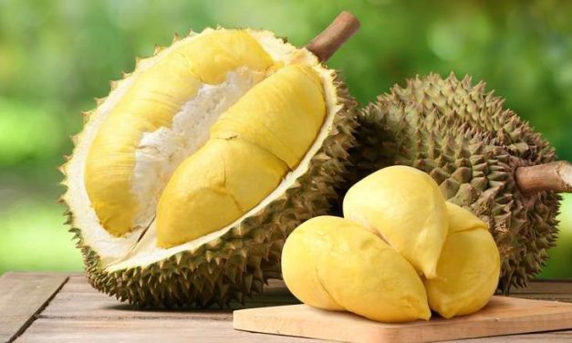Imbas Buruk Jika Terlalu Sering Mengkonsumsi Durian