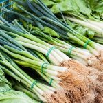 Rahasia Daun Bawang Segar Lebih Lama Dari Umumnya