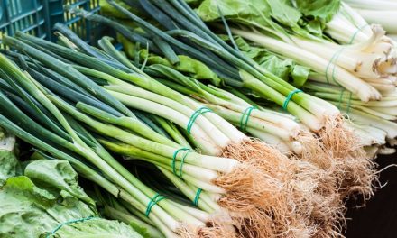 Rahasia Daun Bawang Segar Lebih Lama Dari Umumnya