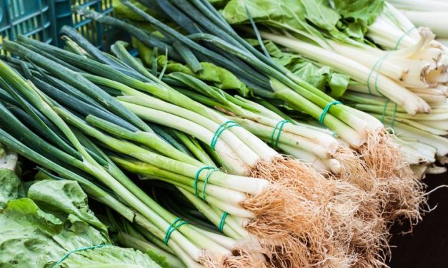 Rahasia Daun Bawang Segar Lebih Lama Dari Umumnya