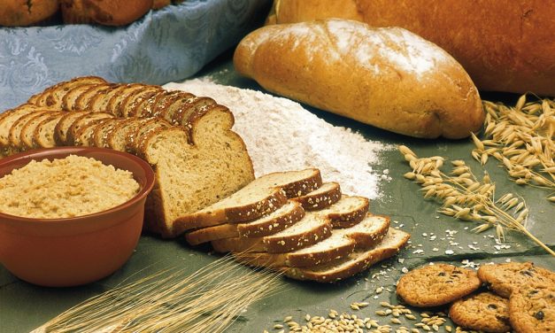 Roti Diet Friendly Pilihan Tepat Untuk Gaya Hidup Sehat