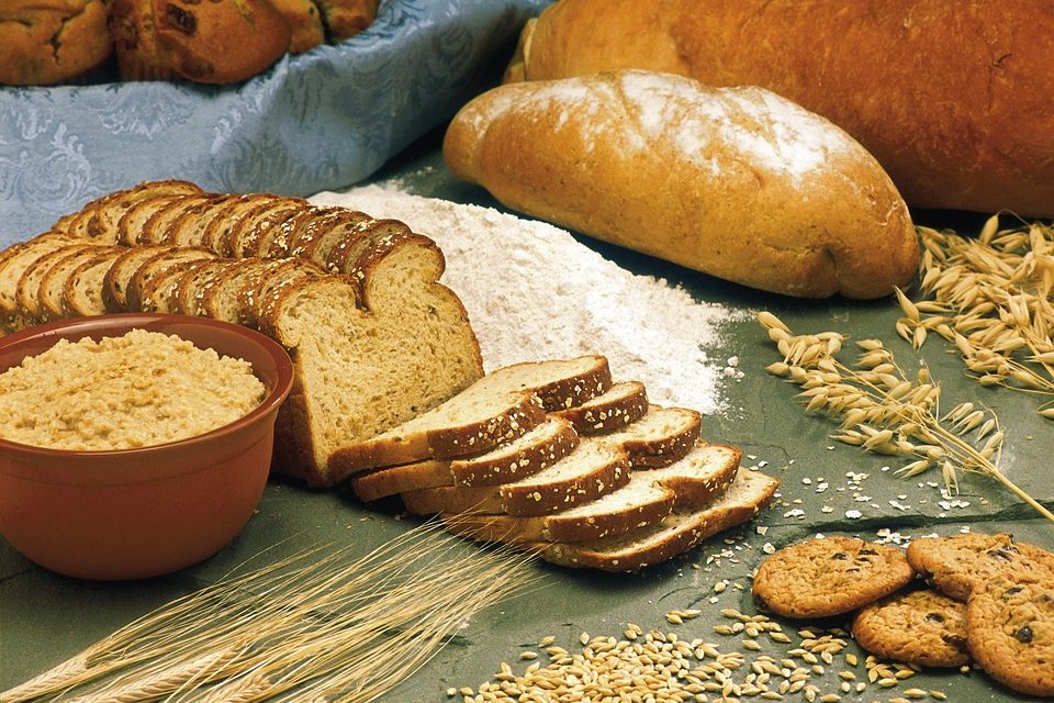 Roti Diet Friendly Pilihan Tepat Untuk Gaya Hidup Sehat