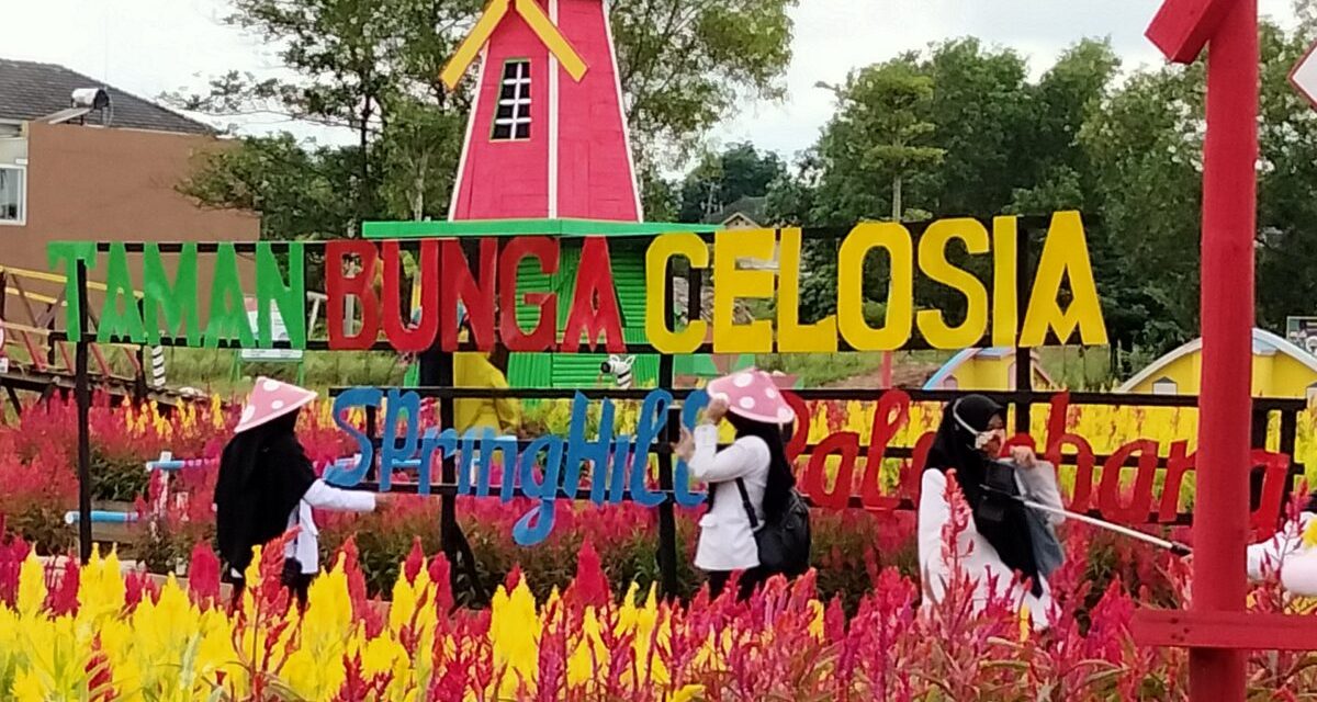 Celosia Spring Hill Tempat Wisata Palembang Yang Lagi Hits