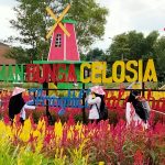 Celosia Spring Hill Tempat Wisata Palembang Yang Lagi Hits