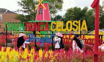 Celosia Spring Hill Tempat Wisata Palembang Yang Lagi Hits